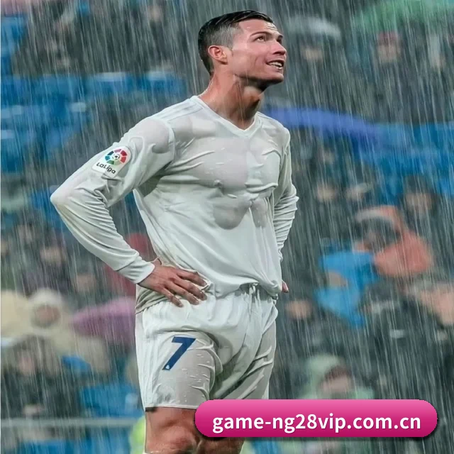 南宫28综合平台 APP
